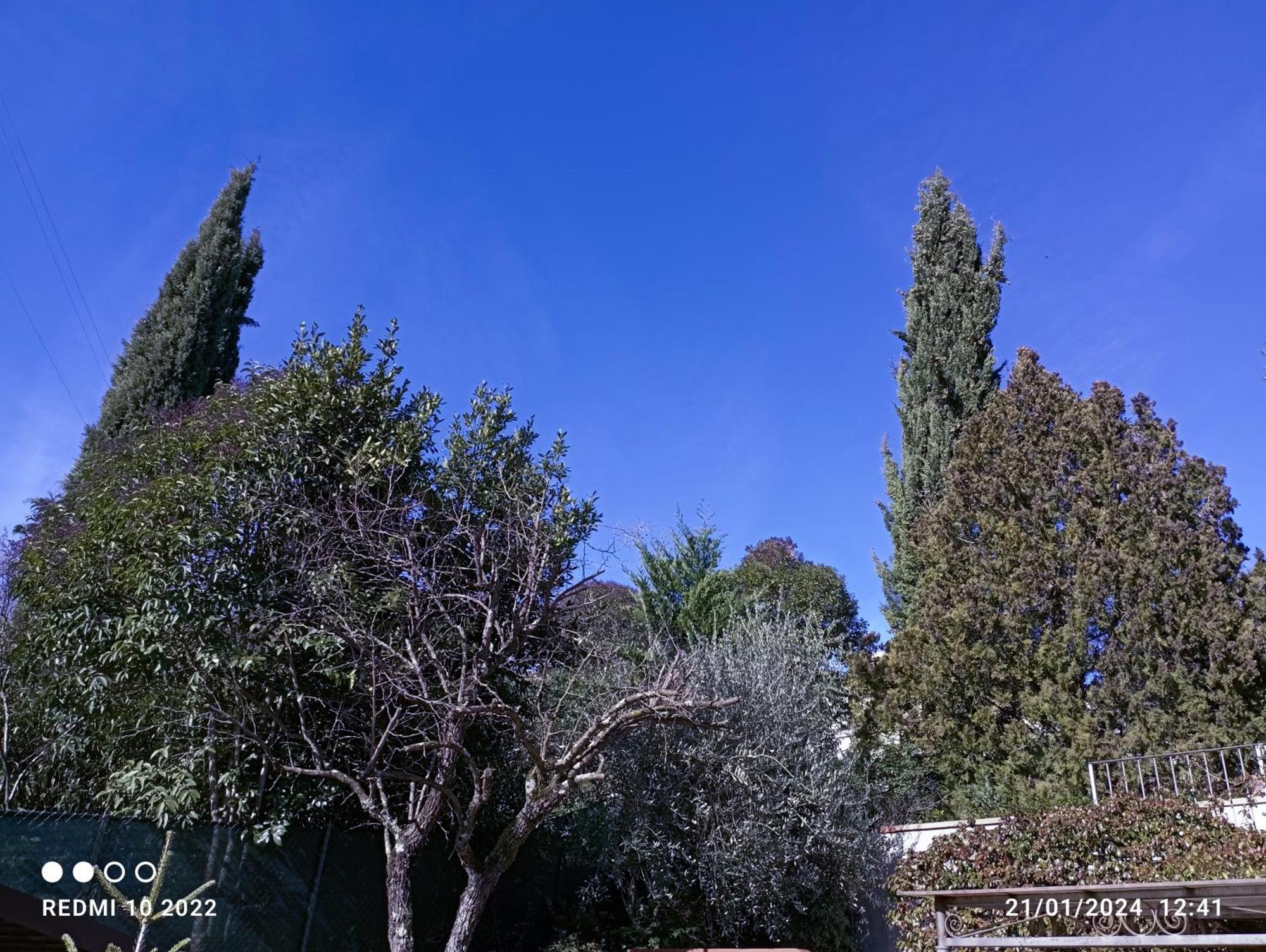 Villa Luna Comeana Exterior foto